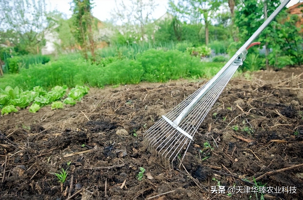 硼对农作物的作用,硼的用途及前景