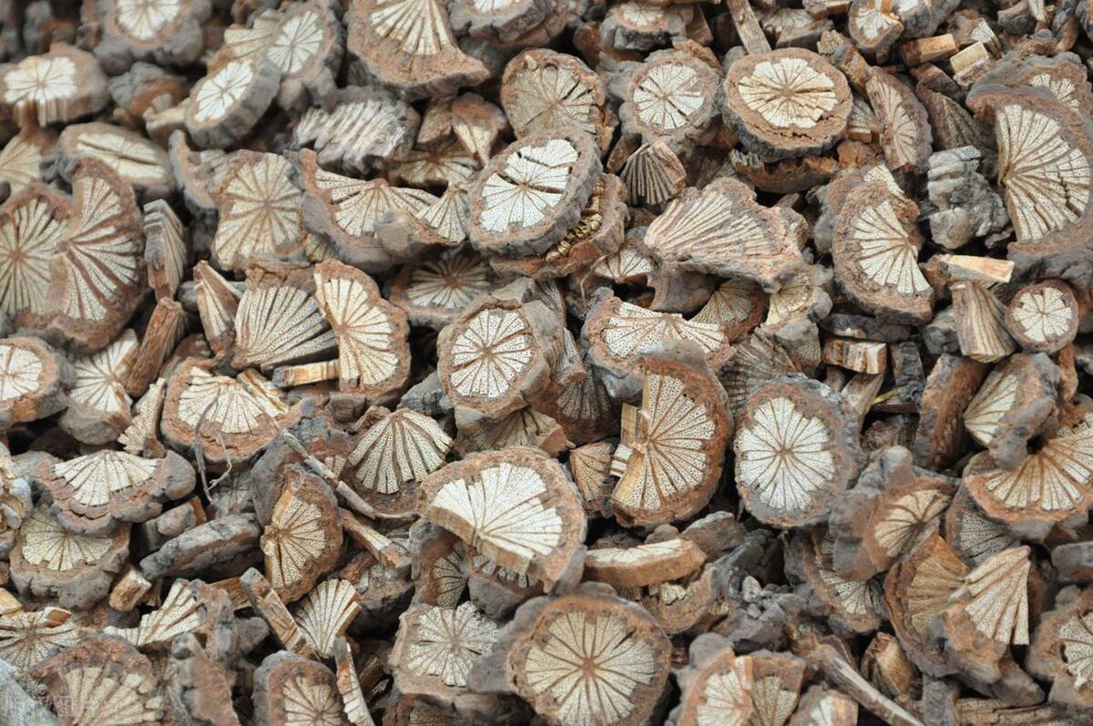 中医治疗湿疹荨麻疹皮炎,荨麻疹湿疹止痒的中药材