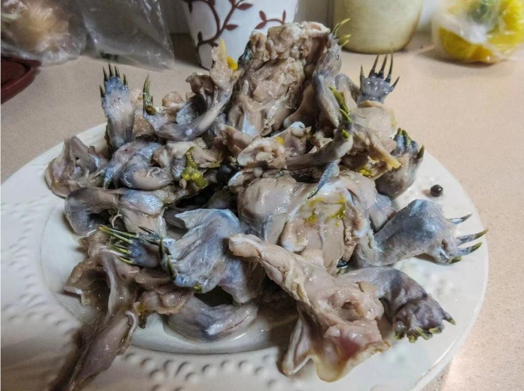 巴西龟都是入侵物种吗,巴西龟泛滥成灾警惕外来生物入侵