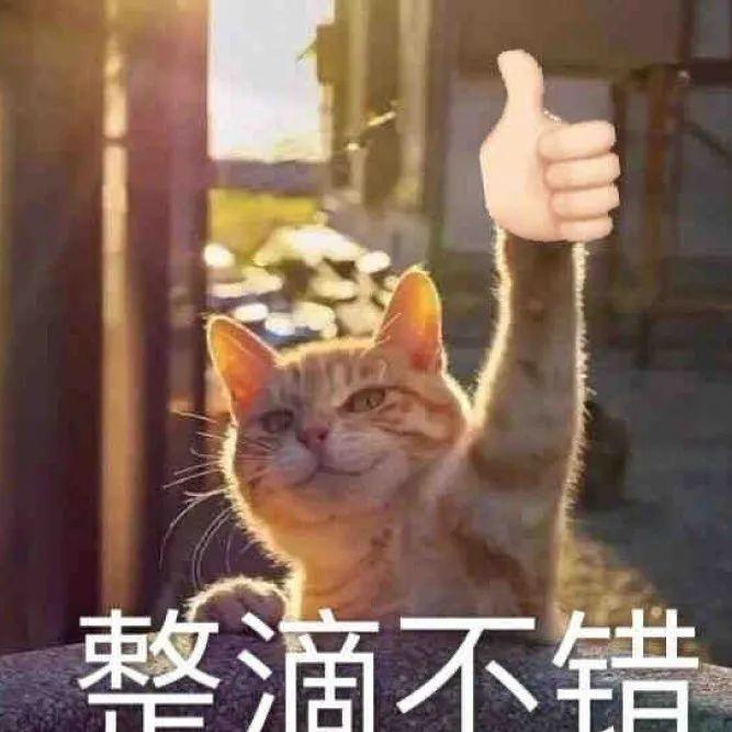 iphone13pro是拥有5g吗,iphone13pro是真5g吗