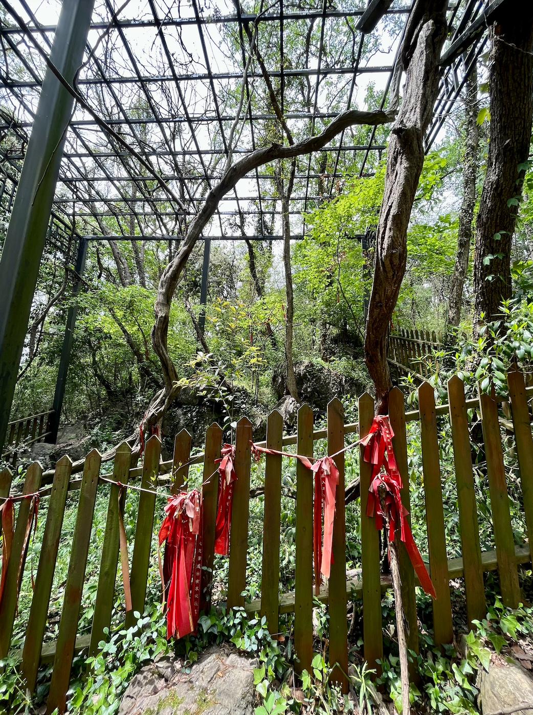 宜兴旅游陶祖圣境,宜兴玉女潭游览图