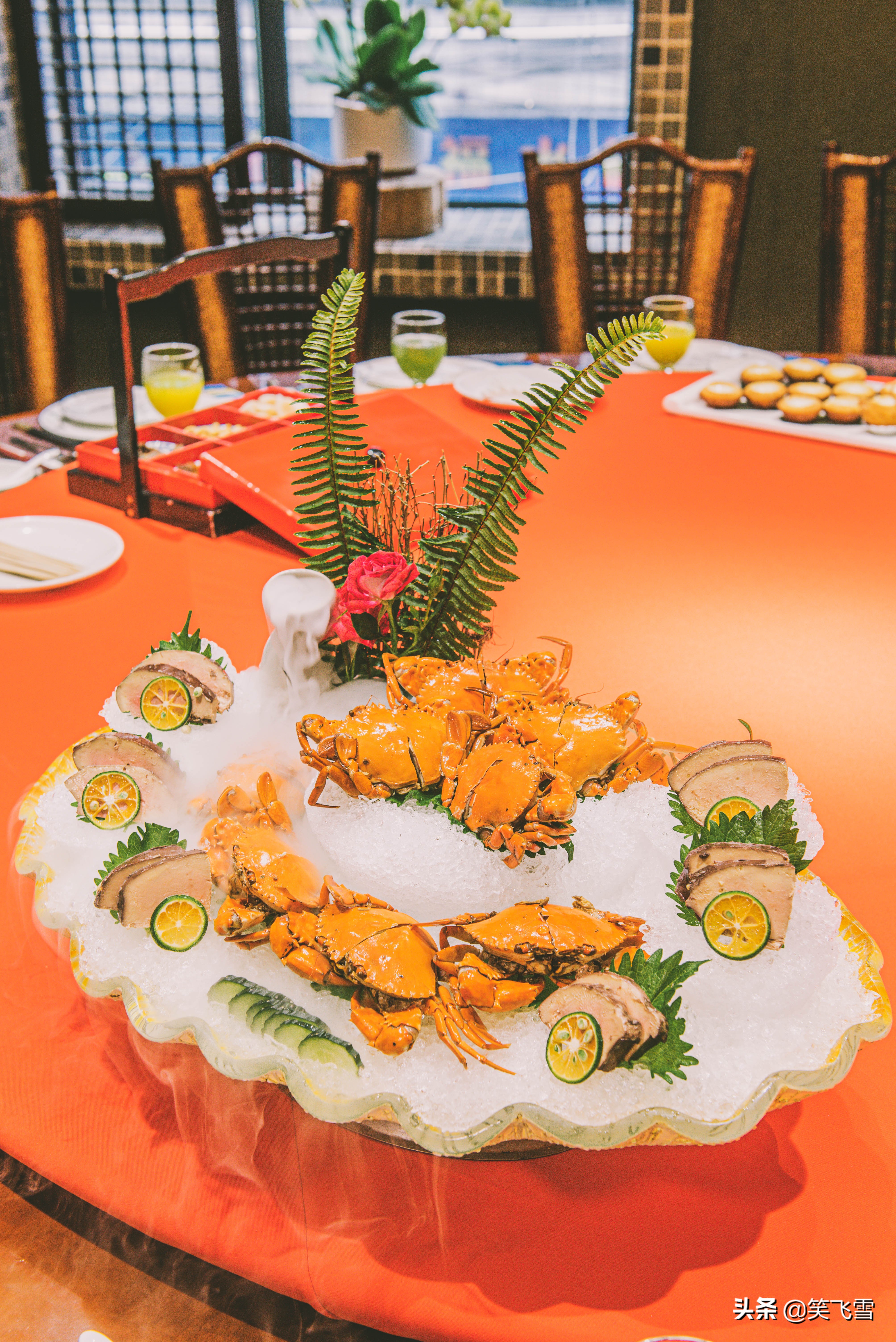 去顺德有什么好玩的,去顺德必玩的地方