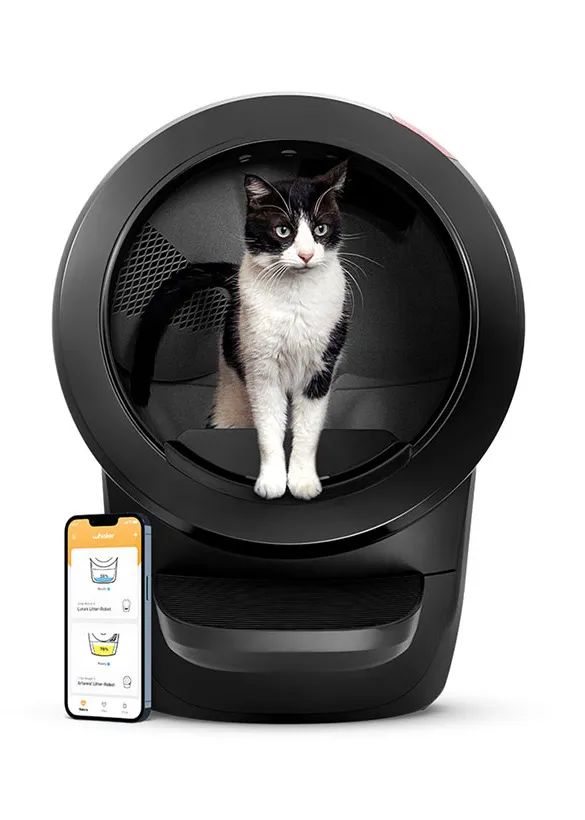 宠物人性化设计,宠物产品的情感化设计