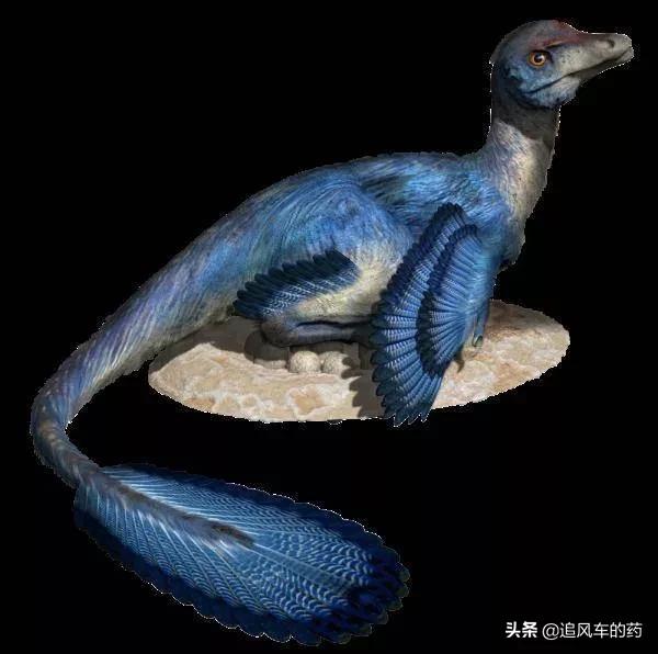 恐龙世界最强的十大恐龙,恐龙世界盘点最强大的恐龙