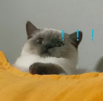 小团团露脸被说,小团团晒全脸照