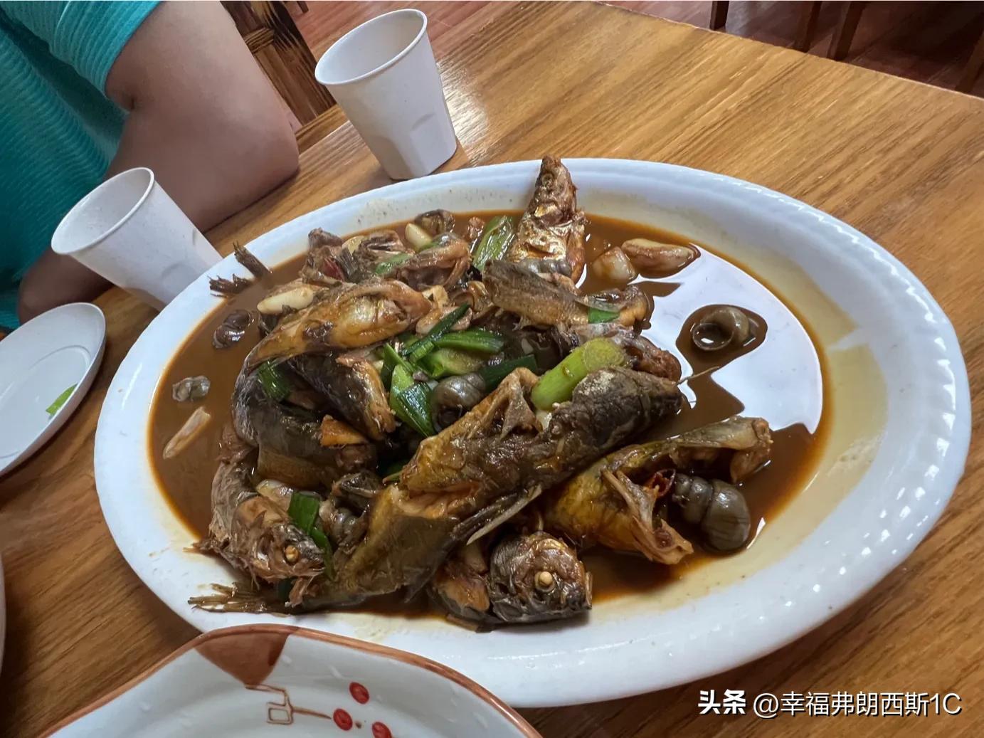 想给生活放个假,请记得给自己的生活放个假