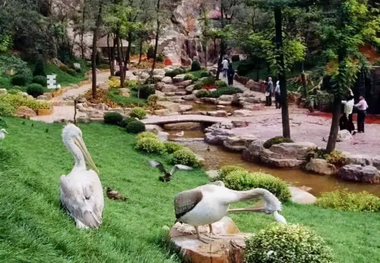 唐山文旅走进天津,唐山文旅我们应该先去哪呢