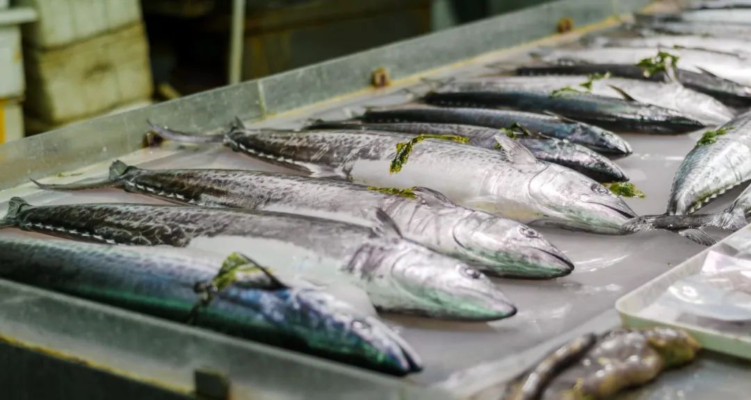 疫情快过去吧，我不想错过这座海滨老城的春天