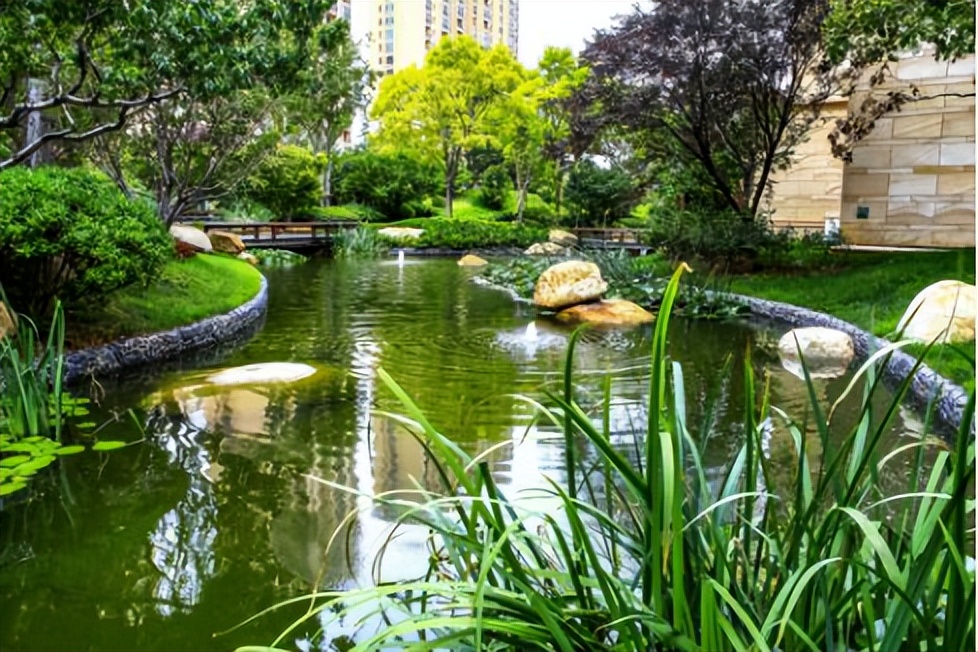 青岛星河湾阳台装修,青岛星河湾900平米户型