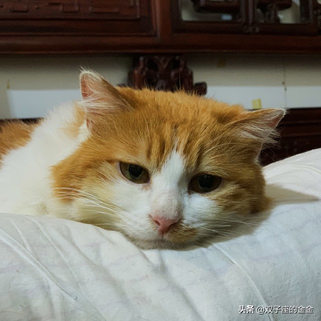 手机锁屏后还有哪些功能,手机锁屏状态下能做什么