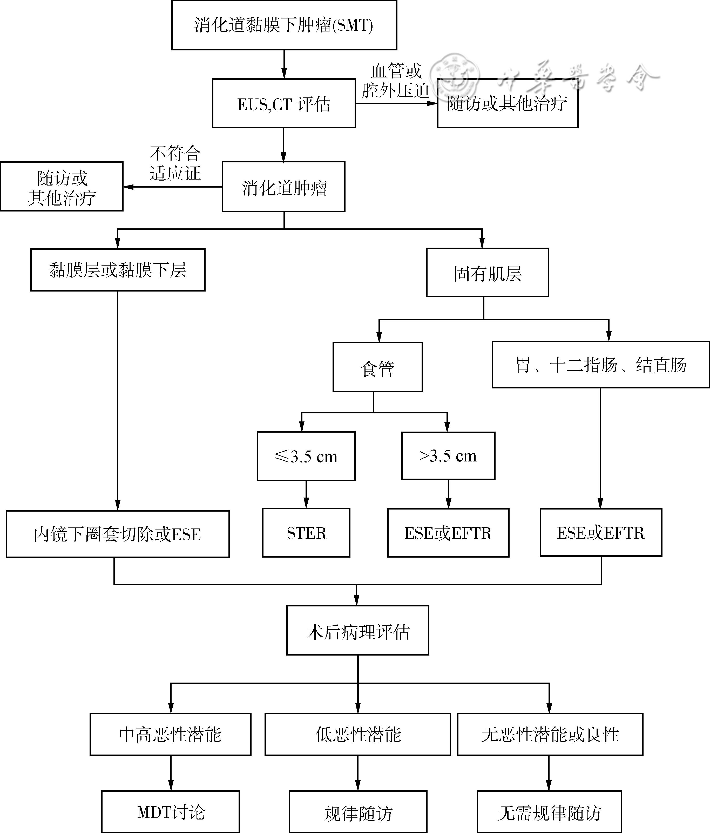 中国消化道黏膜下肿瘤内镜诊治专家共识（2023版）