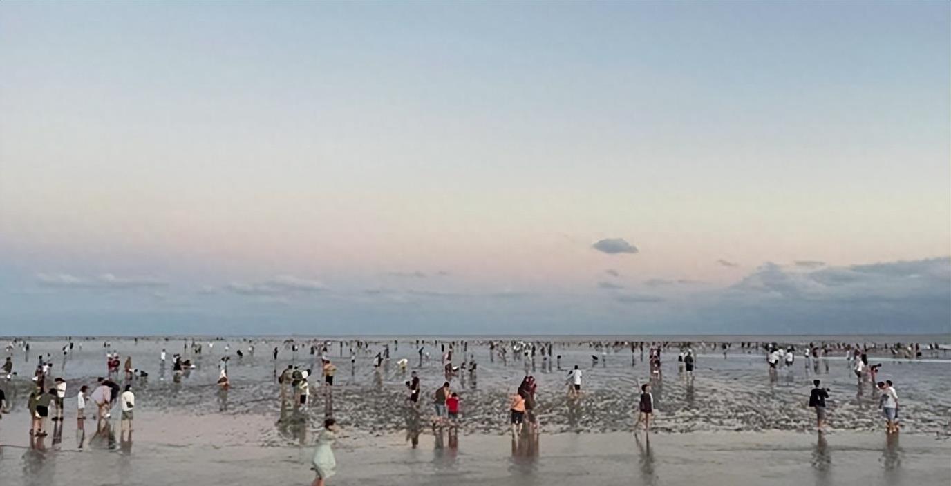 上海4岁女童走丢事件,上海四岁女童走丢事件全过程