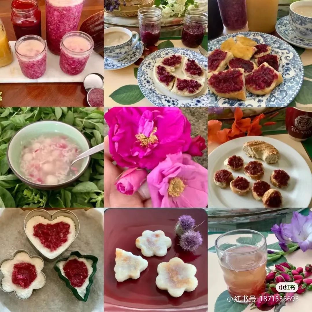 蔷薇月季玫瑰的区别,月季蔷薇玫瑰的区别