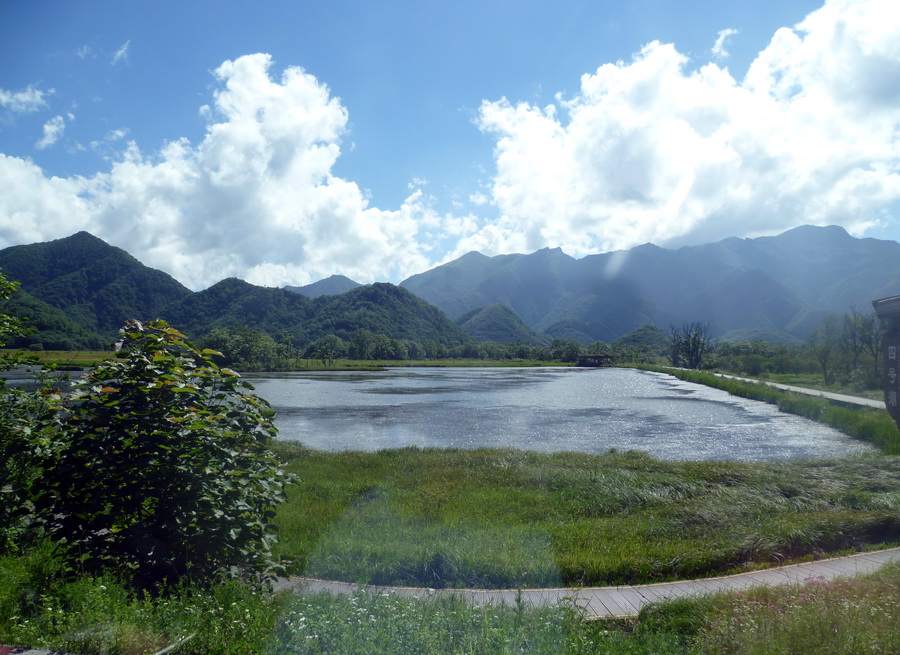 带你欣赏大九湖的美景,大九湖之旅