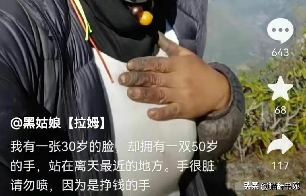 当尘埃落地前奋力一搏,当尘埃落地