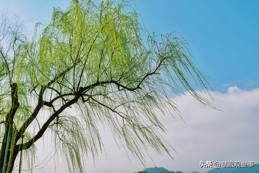 自然现象的古诗词,学生必背古诗词41到60句