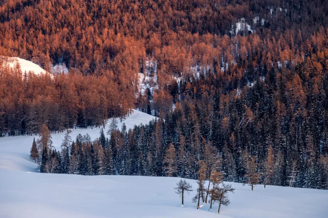 佳能eosr6markii自定义教程,eosr6markii直播设置