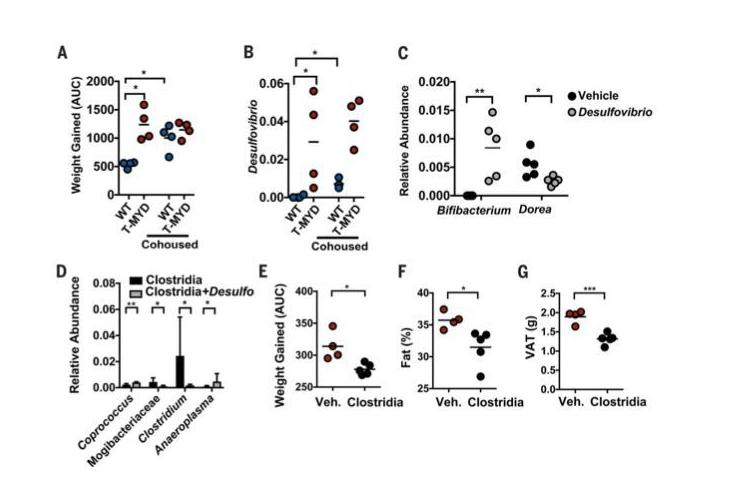 研究菌群,研究肠道微生物的生态学意义