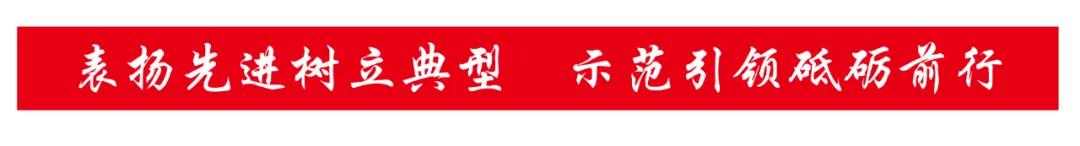 郫都区五强五好,郫都区五强五好先进事迹