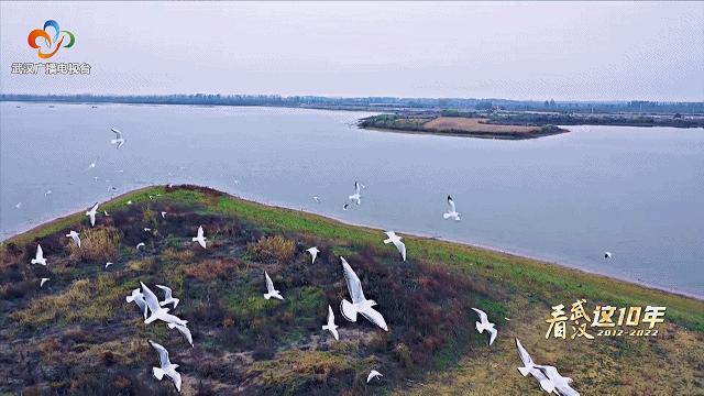 赏花观鸟赏美景,赏花观鸟