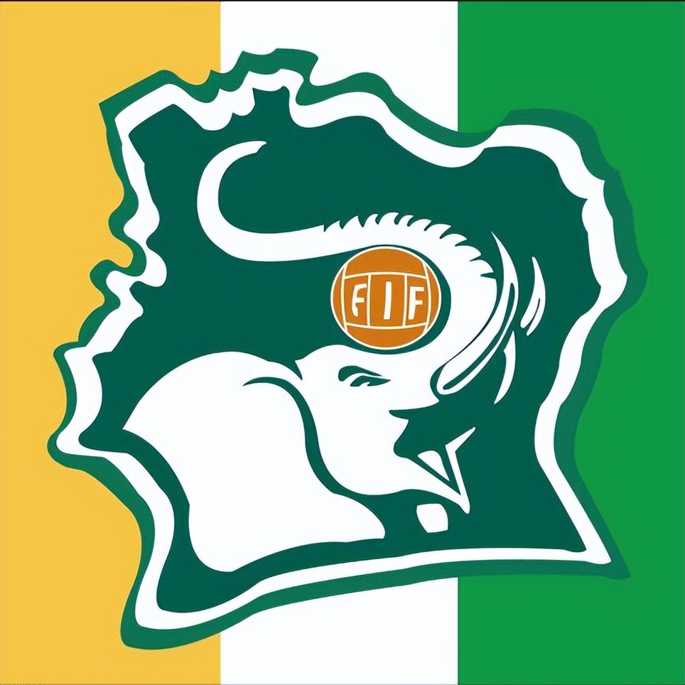 「模拟历史最佳阵容世界杯」非洲区预选赛：科特迪瓦VS加纳