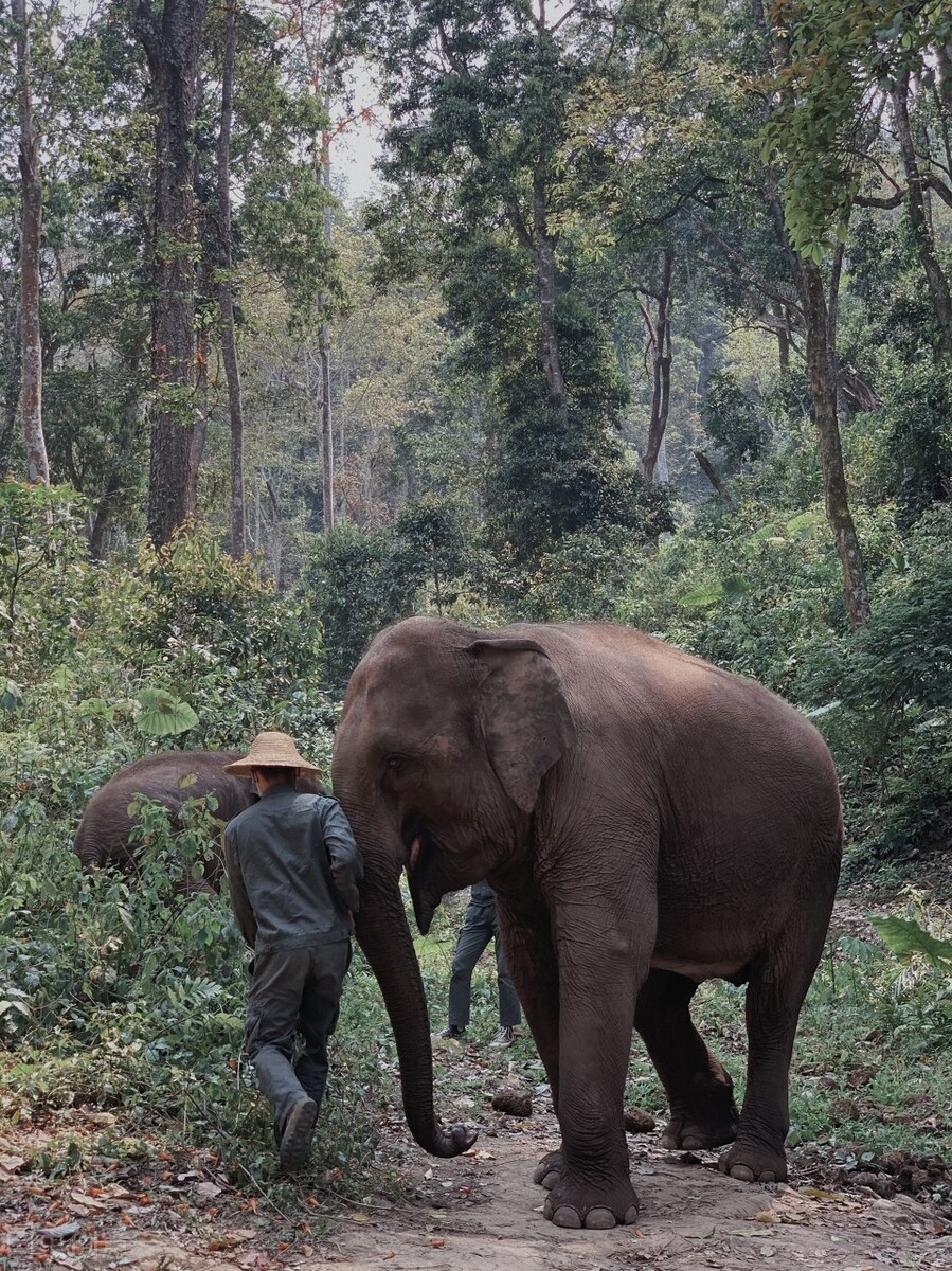 中国最具风情的养老胜地，北回归线上唯一的绿洲，不在乎春夏秋冬