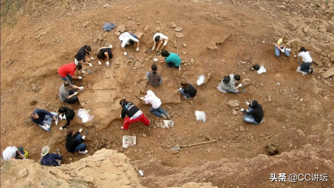 海洋恐龙和陆地恐龙,海洋恐龙与陆地生物对比