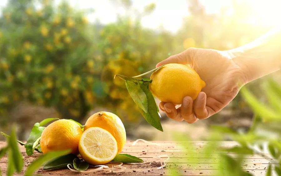 得了干燥症啥也干不了,得了干燥综合征是不是总是口渴