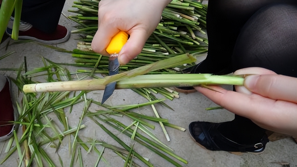 山民教剥竹笋只需3步轻松剥出笋,每日农经挖笋技巧视频
