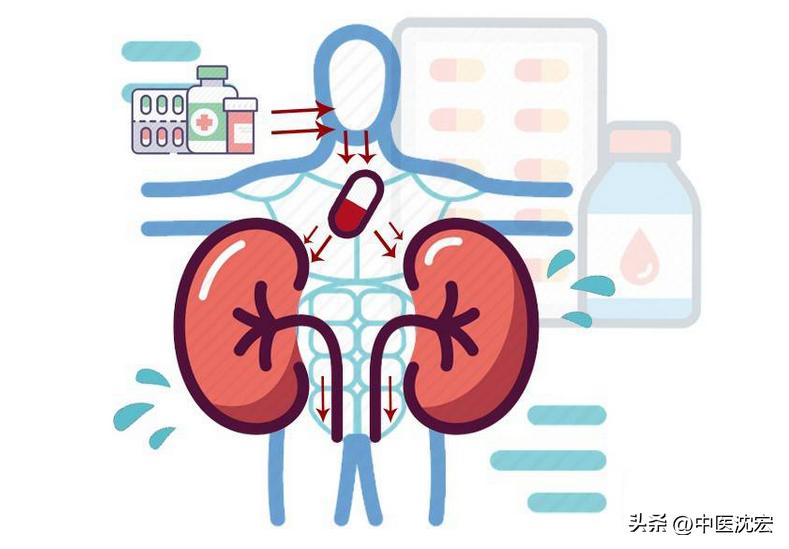 肾精肾气调理,肾精生于脾源于肝藏于肾