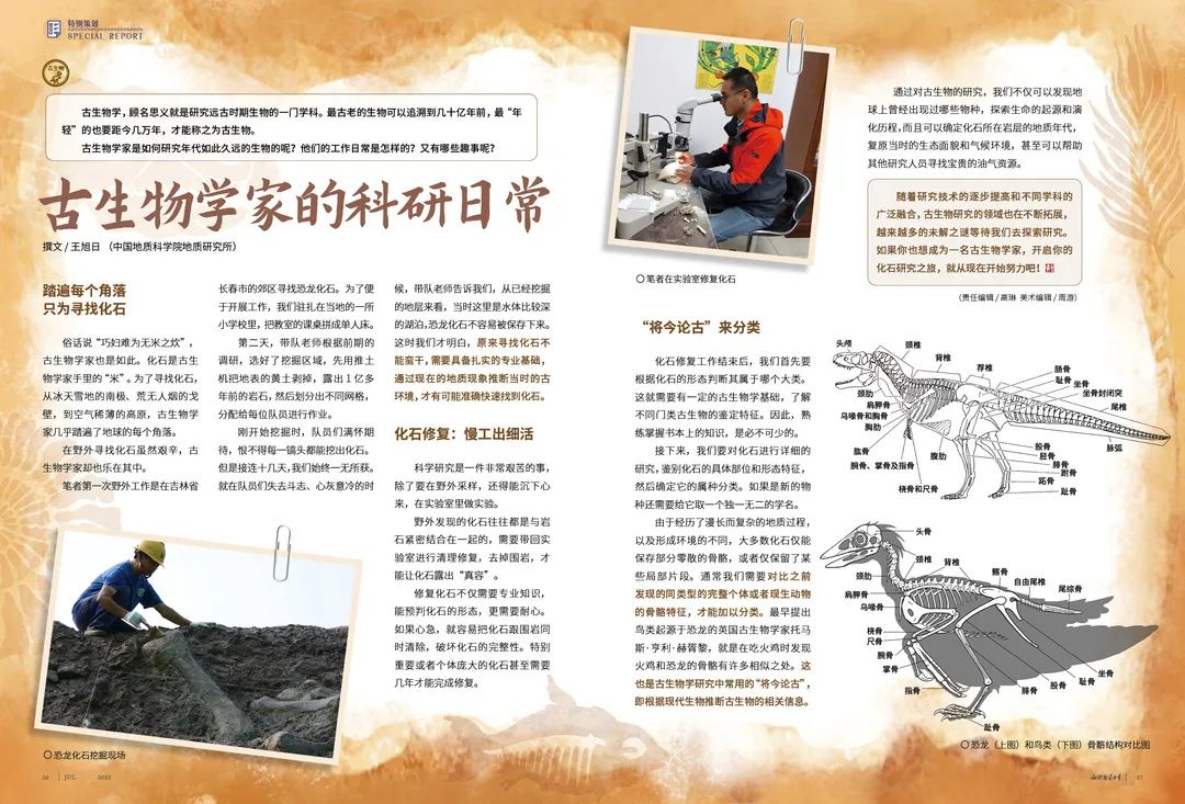 关于生物新课标的难点,新课标生物知识点总结详细