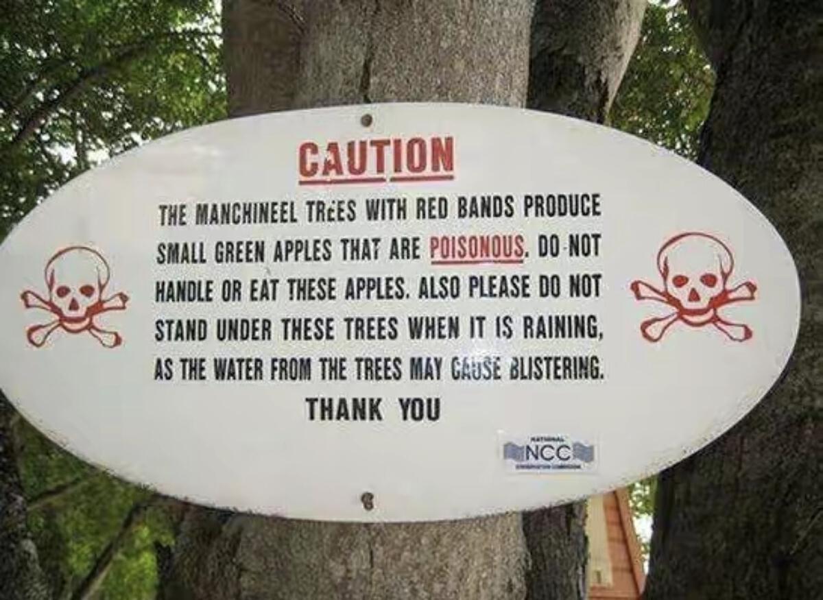 世界上最毒的植物毒番石榴,毒番石榴树能生存多久