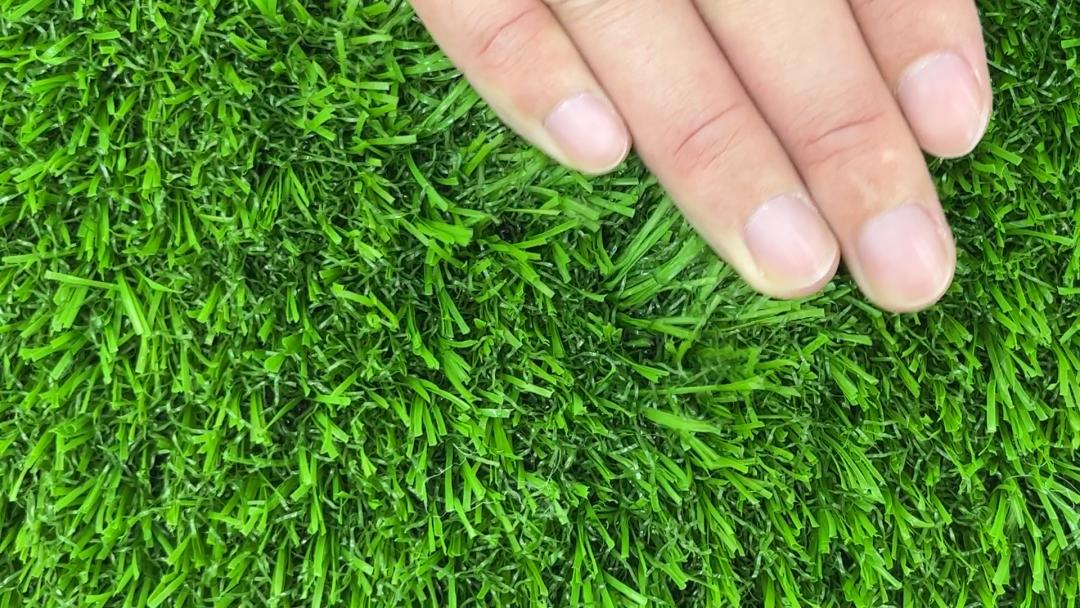 可以养小型宠物的植物盆,以诺宠物