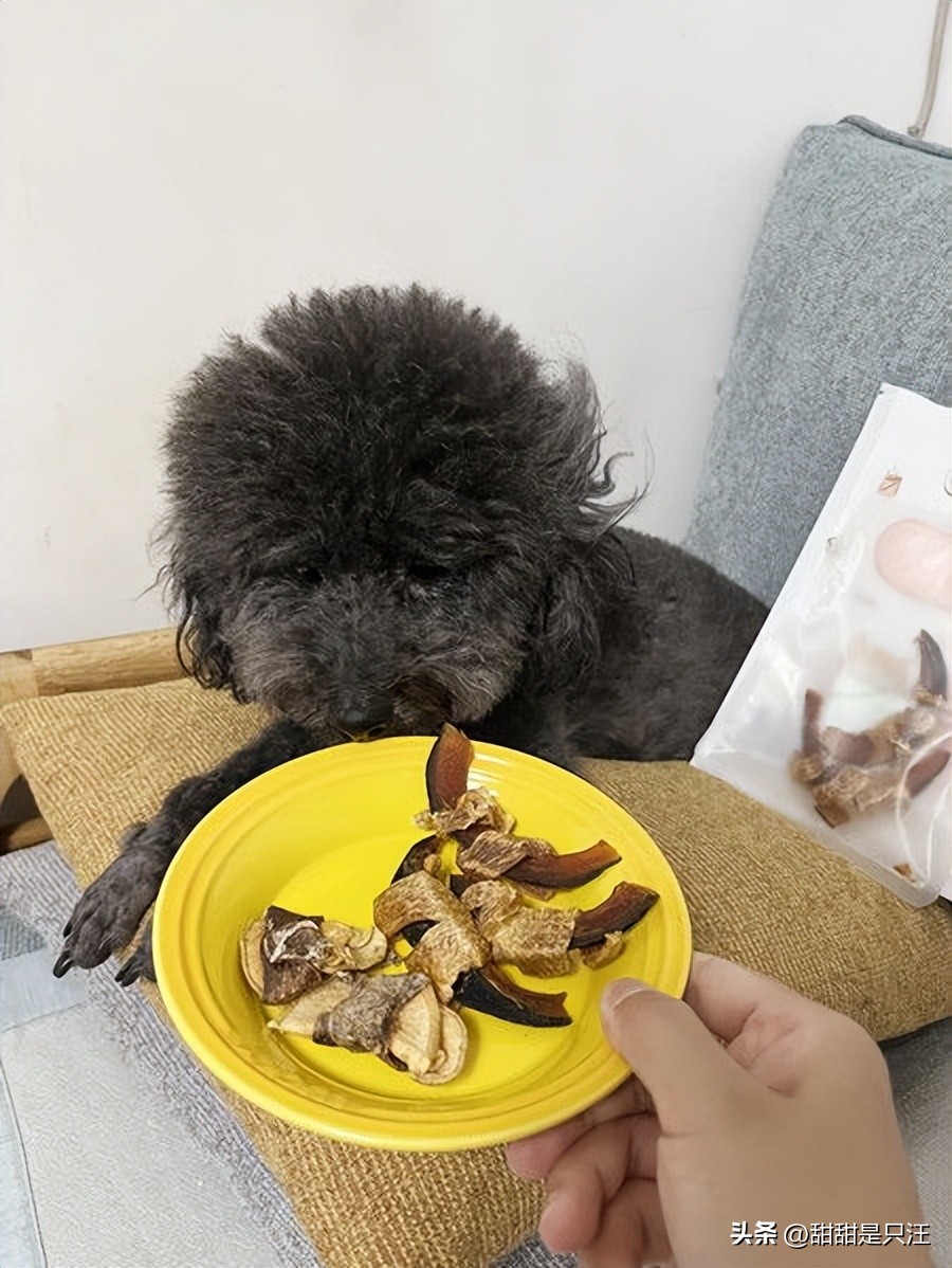 狗零食最好的牌子,6大狗零食种类分析测评