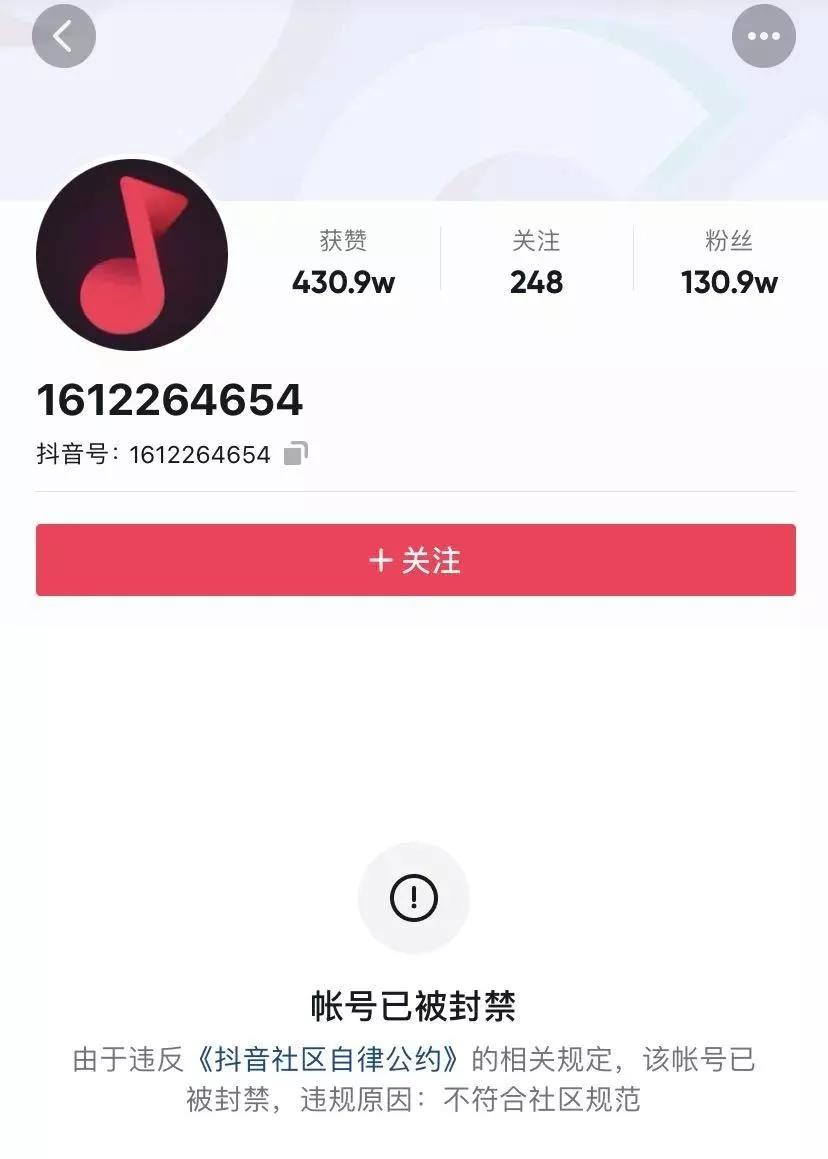 雪梨林珊珊网红,网红雪梨林珊珊最新消息