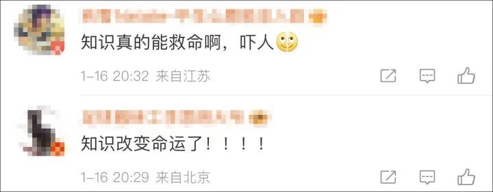 火锅店惊现剧毒,火锅店内现剧毒蓝环章鱼