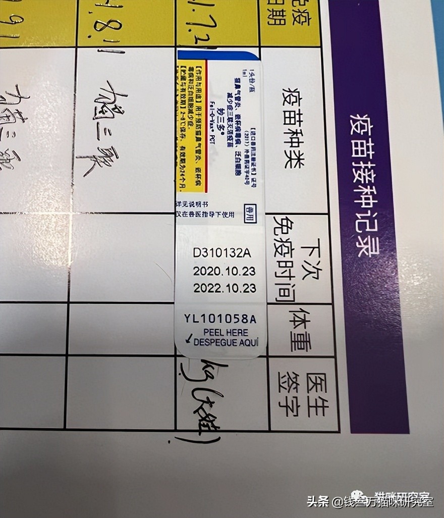 疫苗假针都有哪些,疫苗假针是真的吗