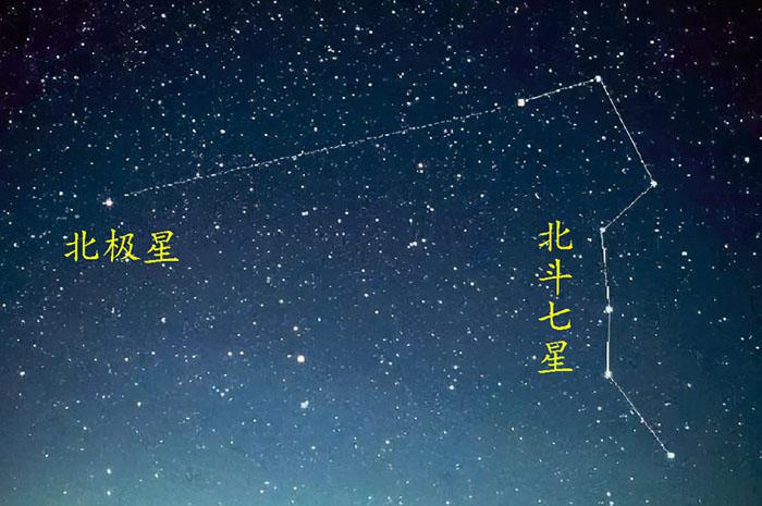 辨认方向的办法,通过树叶辨认方向