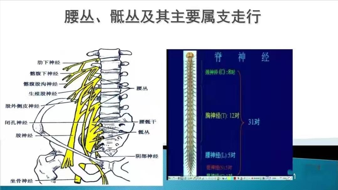 彻底治好腰椎间盘突出的方法,各种腰椎间盘突出治疗方法的弊端