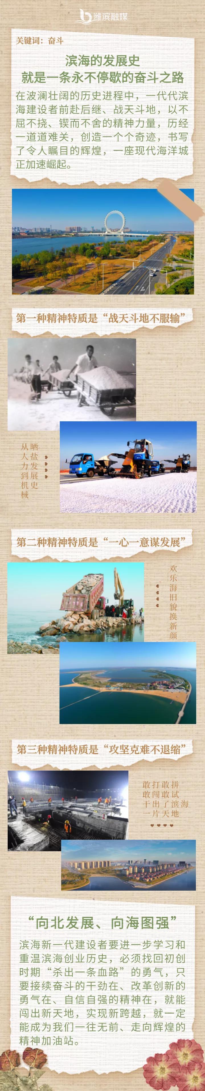 滨海新区发展过程,滨海新区的优势