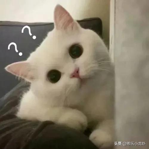 女人不狠地位不稳小说,女人不狠地位不稳视频