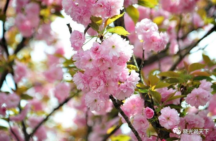 中日文化交流史导论,中日文化交流史视频