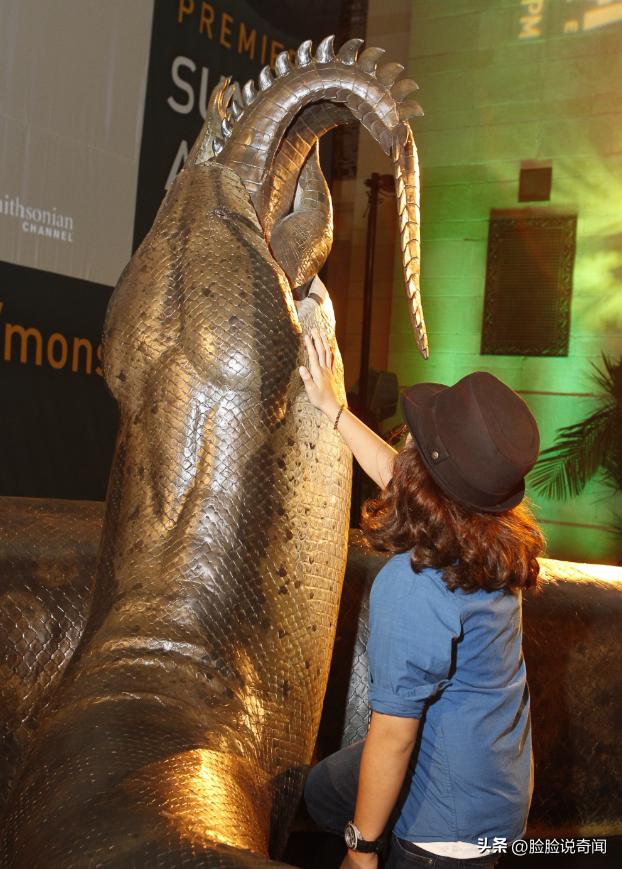 泰坦巨蟒和泰坦蟒是不是一个种类,泰坦蟒和其它的巨大蟒蛇