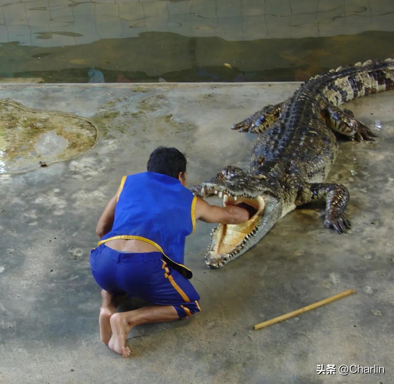 印度尼西亚旅行篇,泰国新加坡印度尼西亚完整版