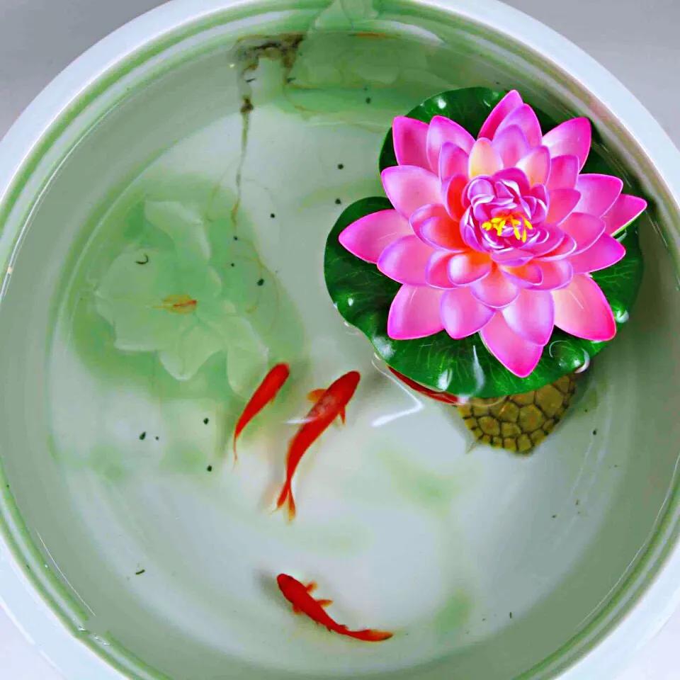 碗莲种藕种植方法,碗莲睡莲种植方法