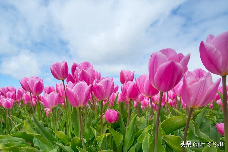 女人偷偷喜欢你会有这5个表现,女人喜欢你这几个暗示很明显