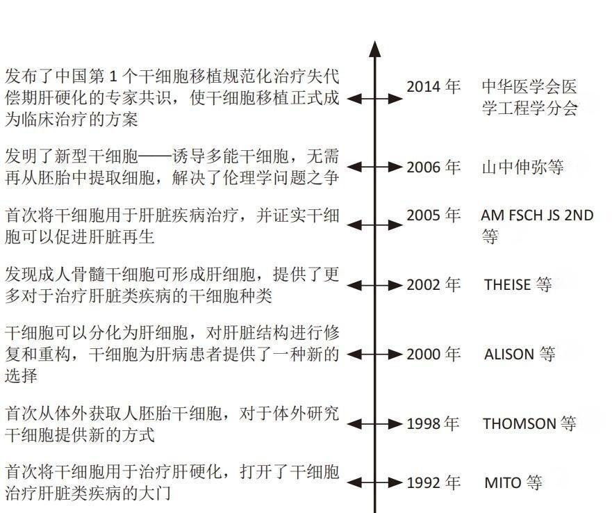 干细胞治疗肝病案例,花开会有时啥意思
