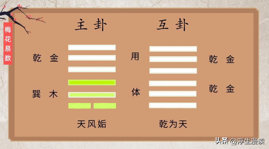 梅花易数太白,梅花易数看面相