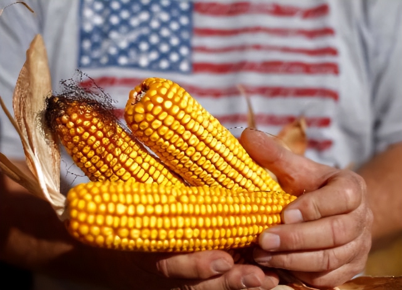 俄罗斯开放海参崴了吗,俄罗斯为何开放海参崴出口