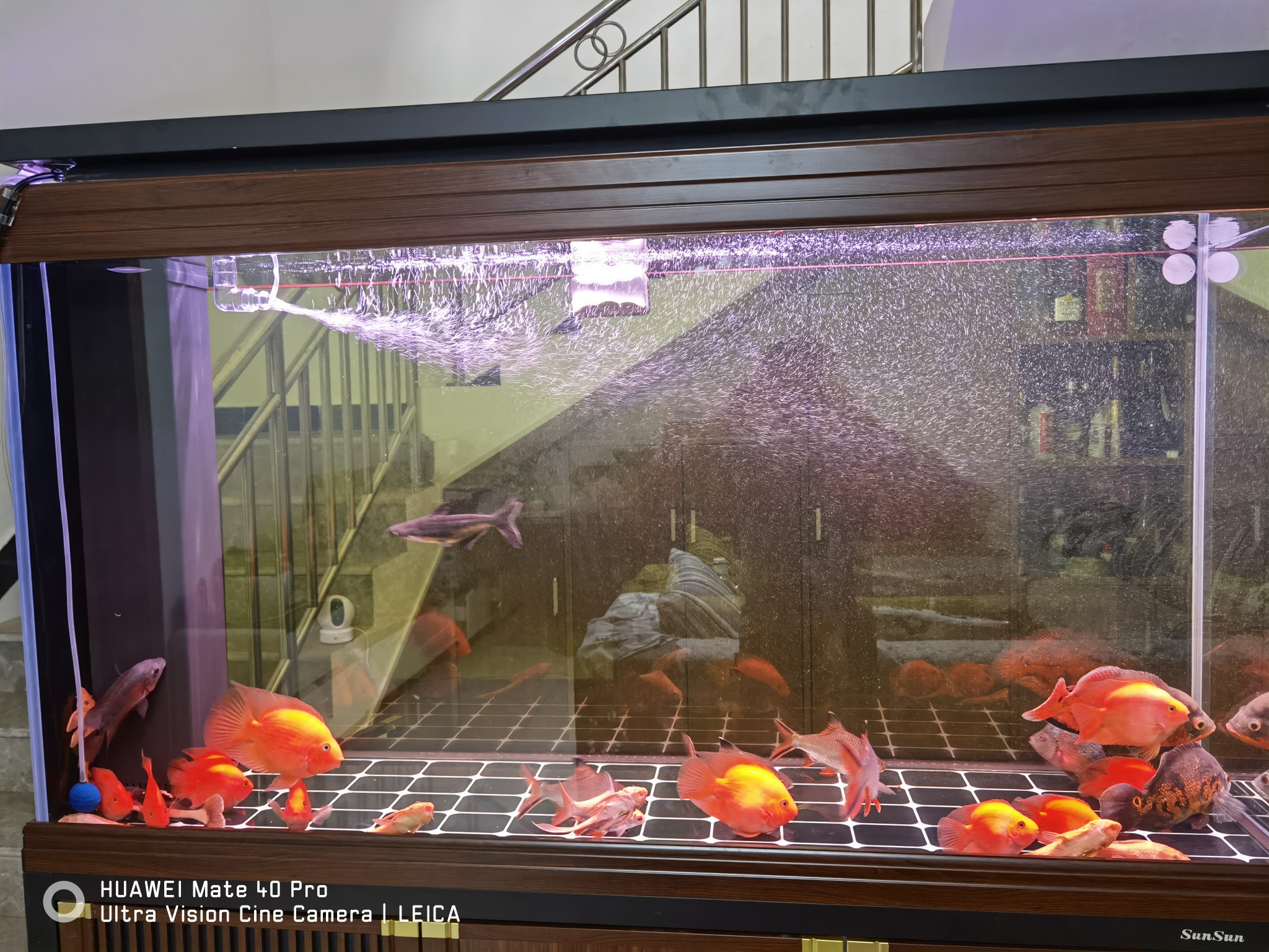 鱼缸出水口怎么既能出水又能增氧,制作鱼缸出水口增氧炮视频